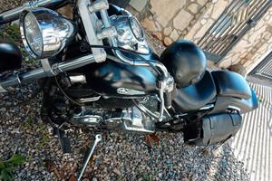 Yamaha dragstar xvs 650 1100  ricambi drag star 