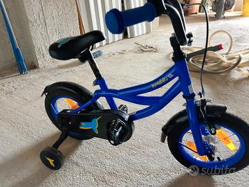 bicicletta 