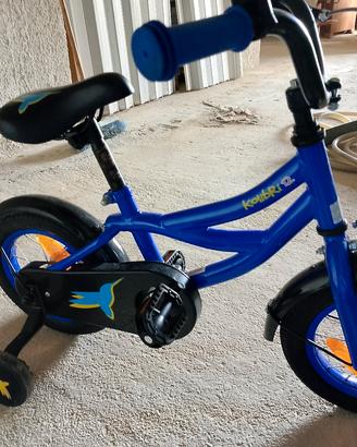 bicicletta 