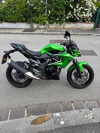 Z125 Kawasaki