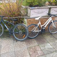 biciclette