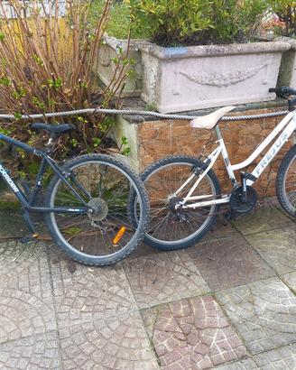 biciclette