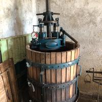 Torchio per uva Martinetto Rolex