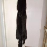 pelliccia di volpe nera 