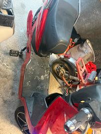 Scooter elettrico squalo