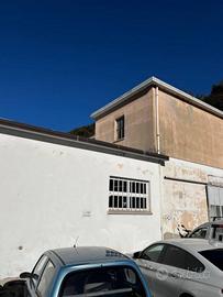 Immobile di 473 m² a Trieste