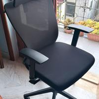 Sedia ergonomica da ufficio Flexispot BS3