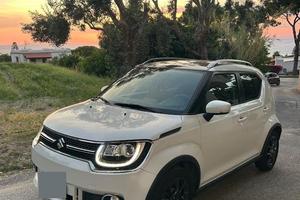 IGNIS IBRIDA ALLGRIP
