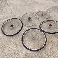 Ruote + Forcelle 28 pollici (ETRTO 622)