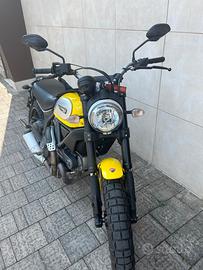Ducati scrambler 800 icon