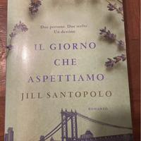 Libro - Il giorno che aspettiamo di Jill Santopolo