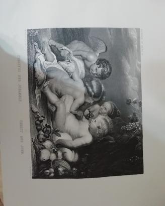 incisione antica rubens 4 putti con agnello 