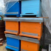 Arnie per api + melari