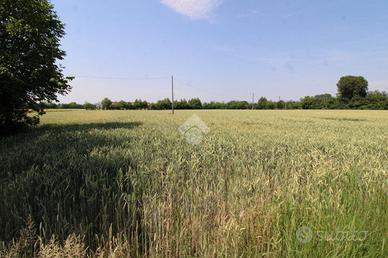 TER. AGRICOLO A URAGO D'OGLIO