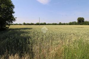 TER. AGRICOLO A URAGO D'OGLIO