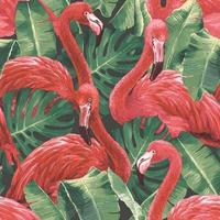 Carta da parati Flamingo and Monstera