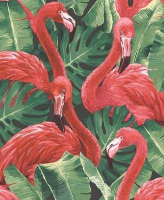 Carta da parati Flamingo and Monstera