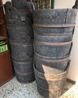 Tini vecchi per uva