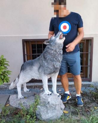 Lupo in resina