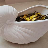 Vaso / Portacandele a forma di Conchiglia Nautilus