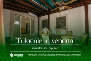 3 LOCALI A MANFREDONIA