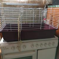 Gabbia conigli