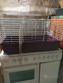 Gabbia conigli