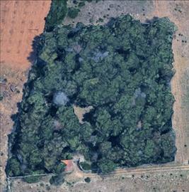 Vendita terreno