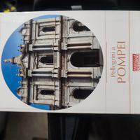 libro pellegrini a Pompei famiglia cristiana