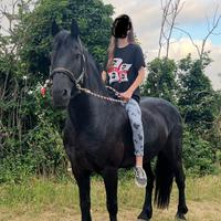Cavallo doppio pony