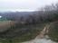 Immagine 7