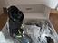 Immagine 2