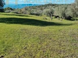 Terreno Agricolo A Ragalna