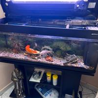 Acquario per pesci completo di tutto