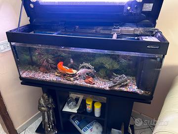 Acquario per pesci completo di tutto