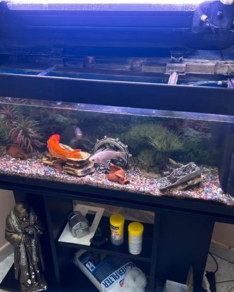 Acquario per pesci completo di tutto