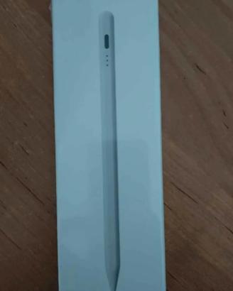 Penna ipad