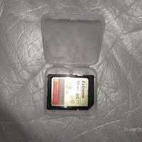 Scheda SD Sandisk