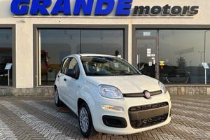 Fiat Panda 1.0 FireFly S&S Hybrid KM ZERO