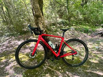 Specialized Roubaix