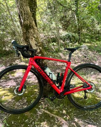 Specialized Roubaix