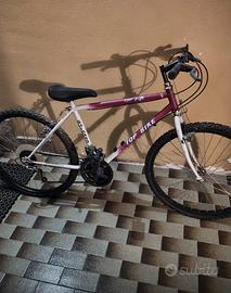 Mountain Bike Top Bike "Shield"