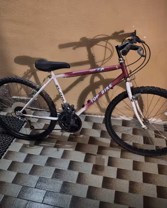 Mountain Bike Top Bike "Shield"