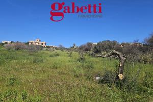 Terreno Agricolo Santa Flavia [Ter/57VRG]