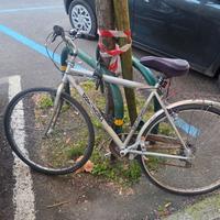 Bicicletta 28"
