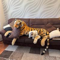 Peluche tigre da Allestimenti- da collezione