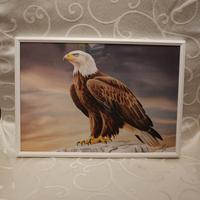 Aquila ( tipo quella della Lazio) incorniciato.