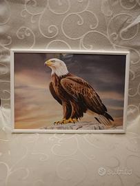 Aquila ( tipo quella della Lazio) incorniciato.