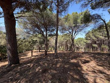 Terreno di 9250 m² a Cefalù