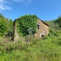 TER. AGRICOLO A PIETRABRUNA
